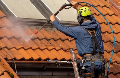 Démoussage et hydrofuge de toiture à Lannepax